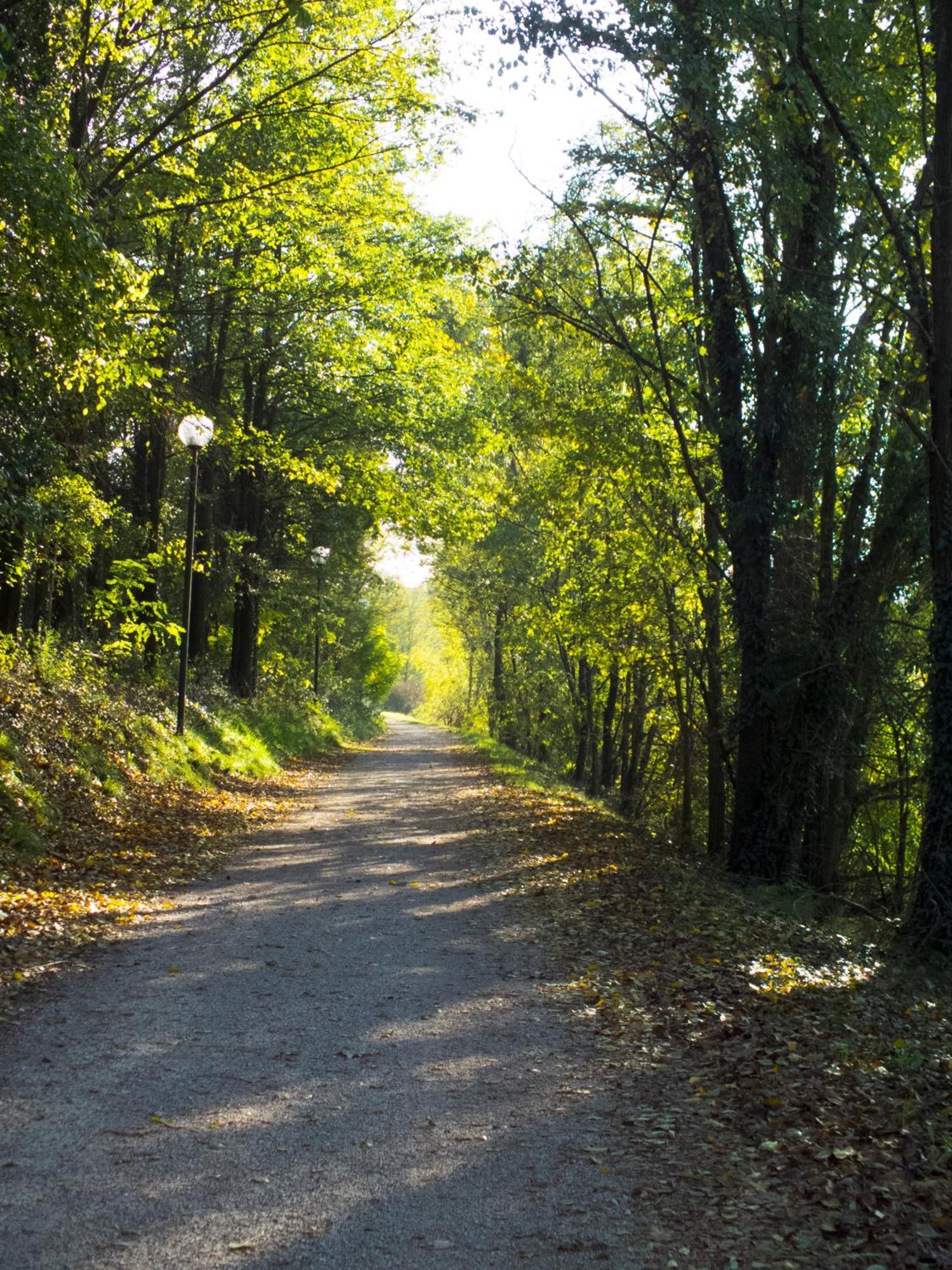 Agriturismo I 9 Filari Limena Eksteriør billede